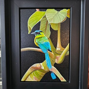 Comprador Etsy adicionaram uma foto da sua compra