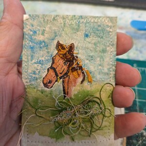 Susan added a photo of their purchase