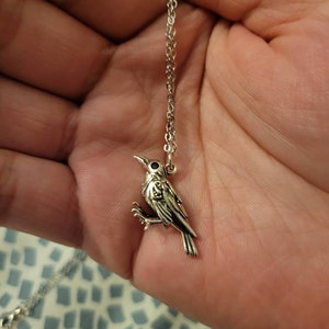 Nicholas added a photo of their purchase