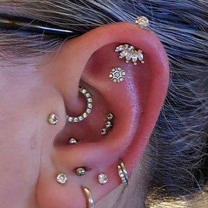 Paula added a photo of their purchase