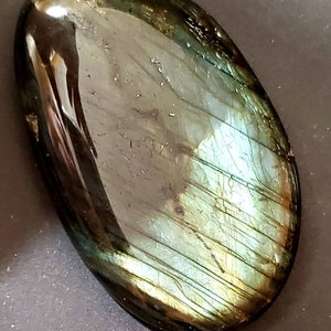 Albert added a photo of their purchase