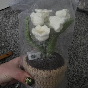 Mady added a photo of their purchase