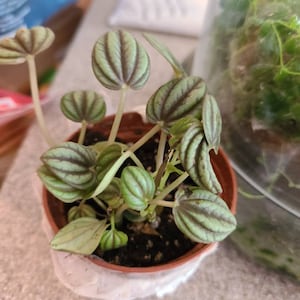 Lori added a photo of their purchase