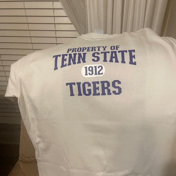 Stillman College 1876 svg, Straight Outta Stillman svg, Stillman Tigers