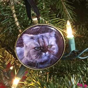 Susan a ajouté une photo de son achat