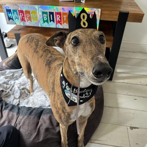 Graham added a photo of their purchase