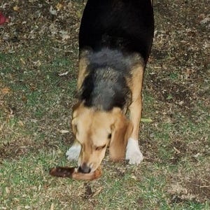 Lisa ha añadido una foto de su compra