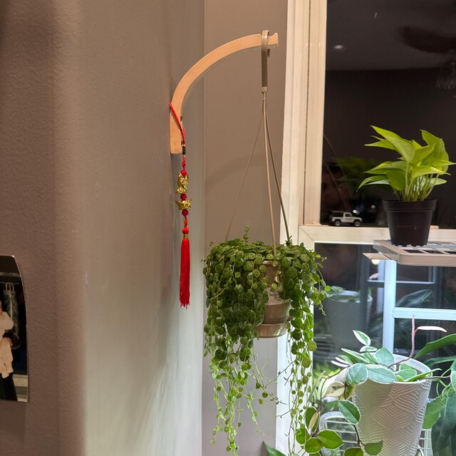 Modern Plant Hook. Wood Wall Plant Hook. Wooden Hook for Hanging