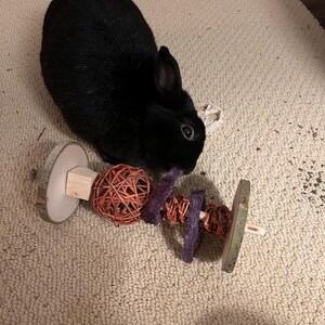 Claire added a photo of their purchase