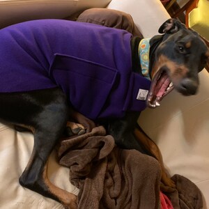 doberman sweaters for dogs