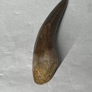 Kenny added a photo of their purchase