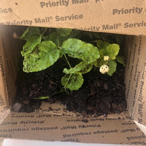 Anita added a photo of their purchase