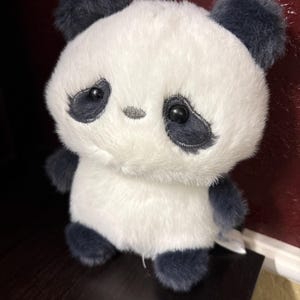Diane added a photo of their purchase