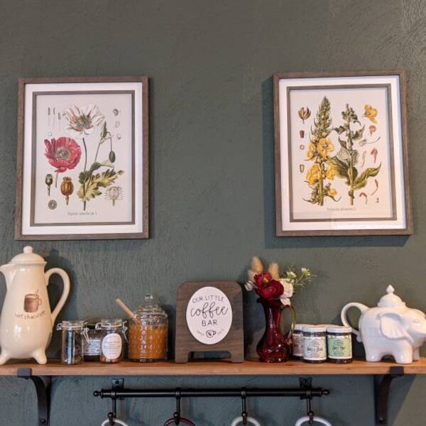 Vintage Botanical Print Set, Customizable Sizes, Set of Three Giclée ...