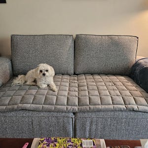 Lisa added a photo of their purchase