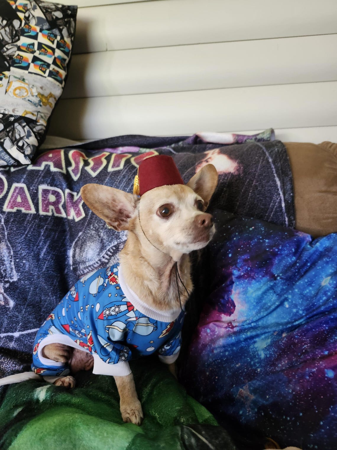 Customer photo of a pet with the Fez Hat mini small pet Cat Dog Hedgehog Vogue