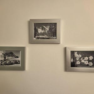 Bob heeft een foto van de aankoop toegevoegd