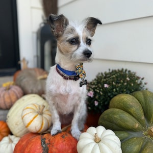 America added a photo of their purchase