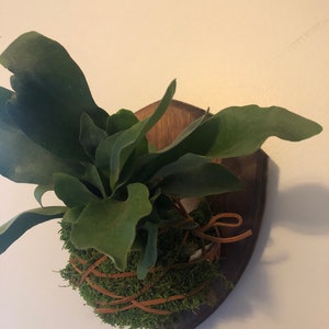 Rochelle added a photo of their purchase