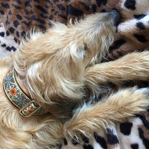Diane added a photo of their purchase