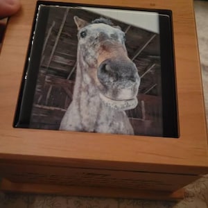 Adrian added a photo of their purchase