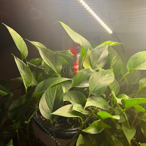 Mary added a photo of their purchase