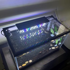 Fernando added a photo of their purchase