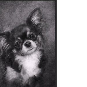 Suzanne added a photo of their purchase