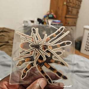 Andre ha añadido una foto de su compra