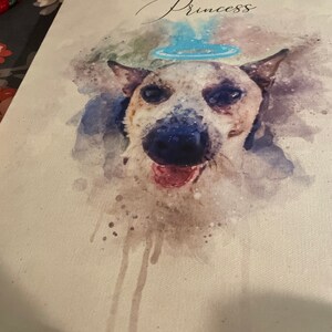 Qhuinn added a photo of their purchase