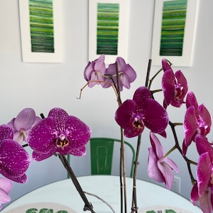 Patricia added a photo of their purchase