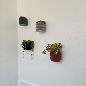 Mr. added a photo of their purchase