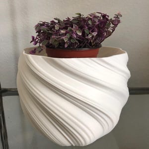 Glicel added a photo of their purchase
