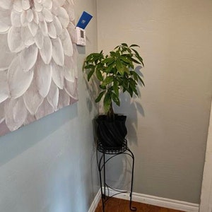 Crystal added a photo of their purchase