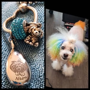 Mana added a photo of their purchase
