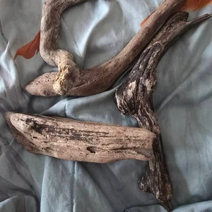 Angela added a photo of their purchase