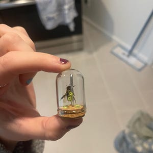 Janet added a photo of their purchase