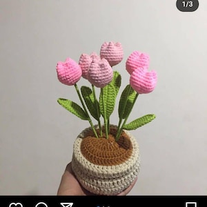 Daryne added a photo of their purchase
