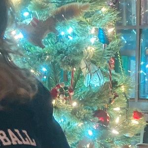 Sarah added a photo of their purchase