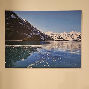 Leslie added a photo of their purchase