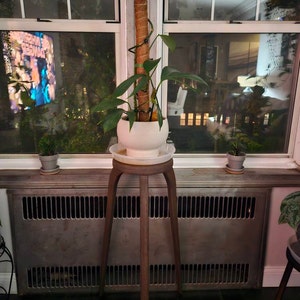 Lorraine さんが購入した商品の写真を追加しました