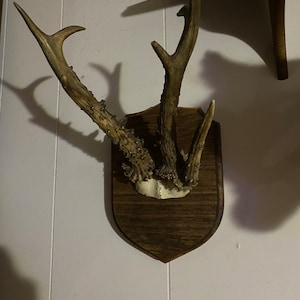Kevin added a photo of their purchase