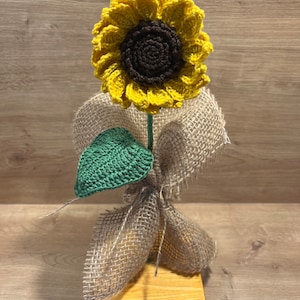 Mirja added a photo of their purchase