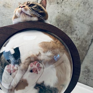 Rebecca heeft een foto van de aankoop toegevoegd
