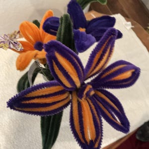 Jim added a photo of their purchase