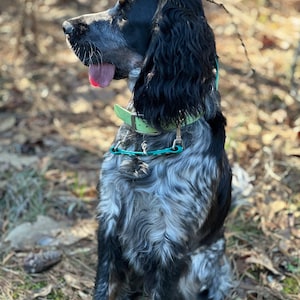 Gracie added a photo of their purchase