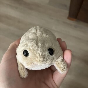 Webkinz Classic Handmade Custom Desert Rain Frog WITH CODE