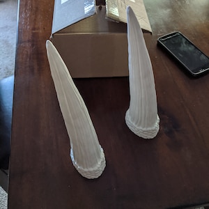 Wolfie added a photo of their purchase