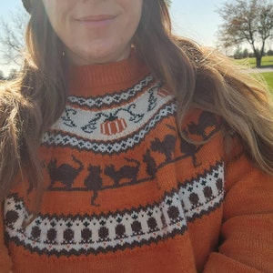 Pumpkins Cats Handmade Sweater Jumper. Acrylic Vegan Wool, Fall ...