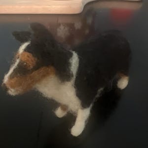 Jackie added a photo of their purchase
